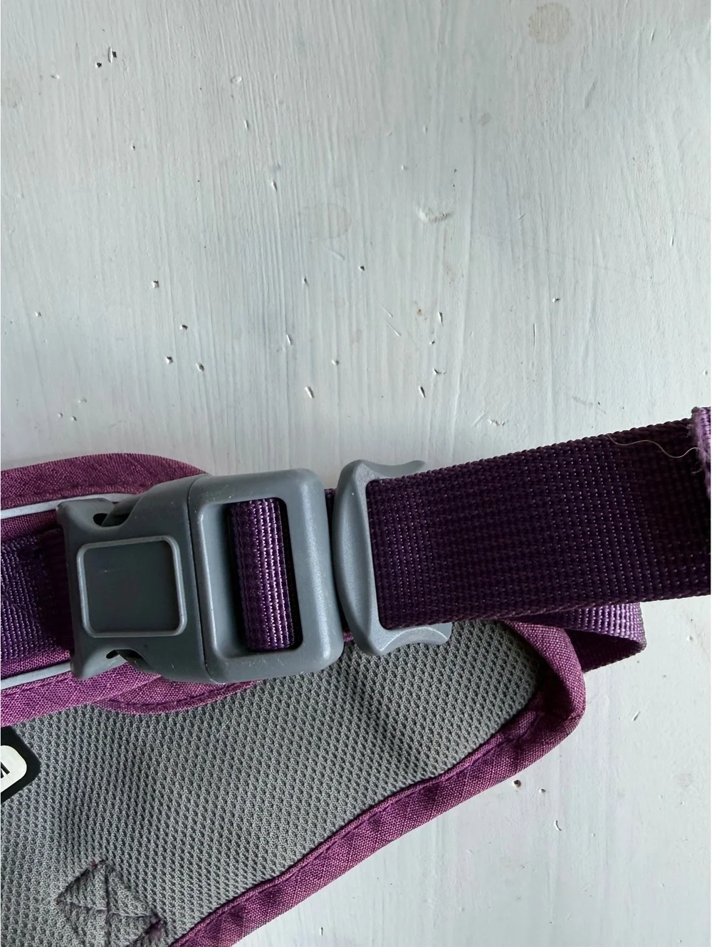PAWAii Purple and Gray Medium Dog Harness